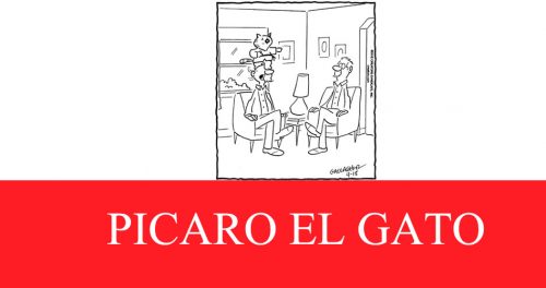 PICARO EL GATO